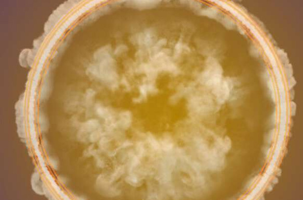 利用光湍流從小型環(huán)形激光器產(chǎn)生頻率梳